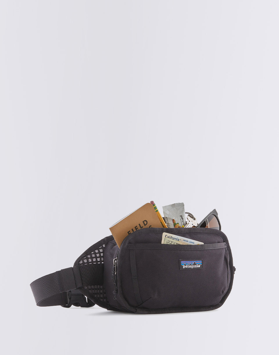 Filedsmith Hip Pack