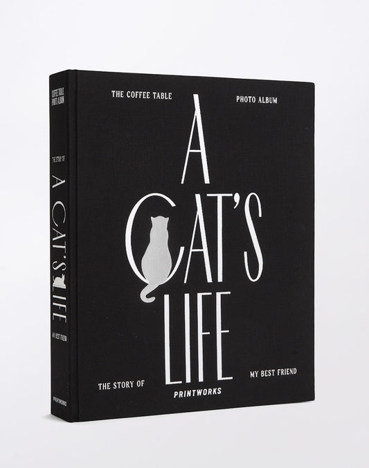 Photo Album - A Cat's Life